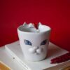 Handmade ceramic mug with a cat face design, available in calico, tuxedo, white, and orange cat variations. Perfect for cat lovers looking to add a cute, personalized touch to their drinkware collection." Greek: "Χειροποίητη κεραμική κούπα με σχέδιο προσώπου γάτας, διαθέσιμη σε εκδόσεις τρίχρωμης, δίχρωμης, λευκής και πορτοκαλί γάτας. Ιδανική για φιλόζωους που θέλουν να προσθέσουν μια χαριτωμένη, προσωπική πινελιά στη συλλογή τους από κούπες.