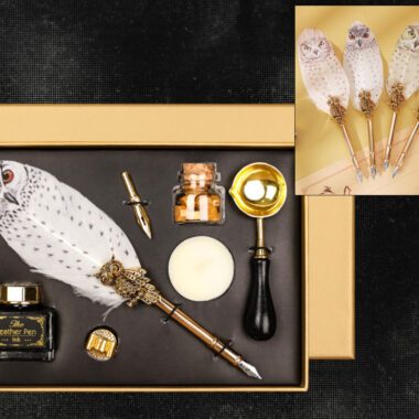 owl pen set, writing kit, fountain pen and ink, seal kit, calligraphy set, CARMANI stationery, gift for art and writing lovers