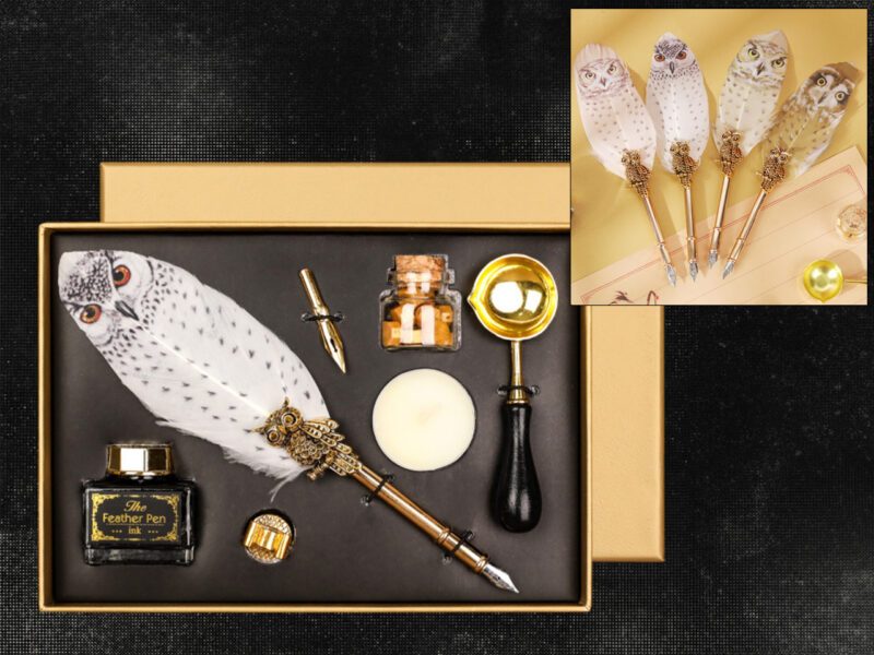 owl pen set, writing kit, fountain pen and ink, seal kit, calligraphy set, CARMANI stationery, gift for art and writing lovers