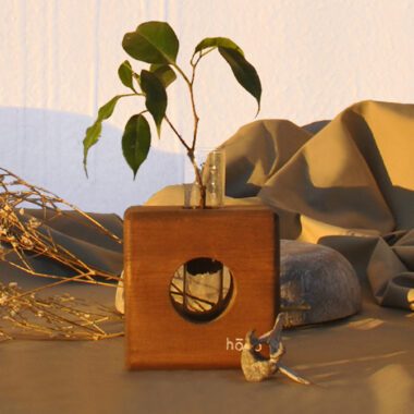 square dark natural wooden vase with a hole for the roots to be seen. Σκούρο ξυλί τετράγωνο βαζάκι με τρύπα για να φαίνονται οι ρίζες.