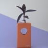 tall wooden vase in orange color with a testing tube for water. it lets the plant grow and always be pretty.