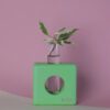 square light green wooden vase hoko with a testing tube for water. it helps the roots to grow and it gives a natural beauty in our homes.