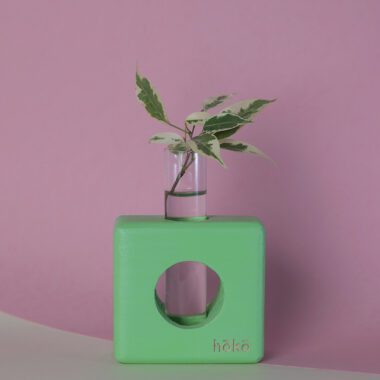 square light green wooden vase hoko with a testing tube for water. it helps the roots to grow and it gives a natural beauty in our homes.