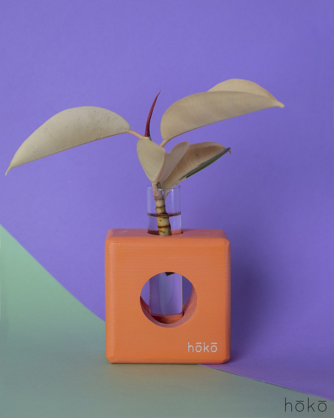 square wooden vase in orange color with a testing tube for water. it lets the plant grow and always be pretty.