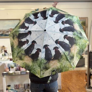 ομπρέλα με σκύλους πουκοιτάνε την θάλασσα. Umbrella with dogs starring the sea