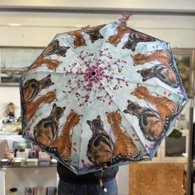 umbrella with kitties alex clark ομπρελα με γατουλες αλεξ κλαρκ